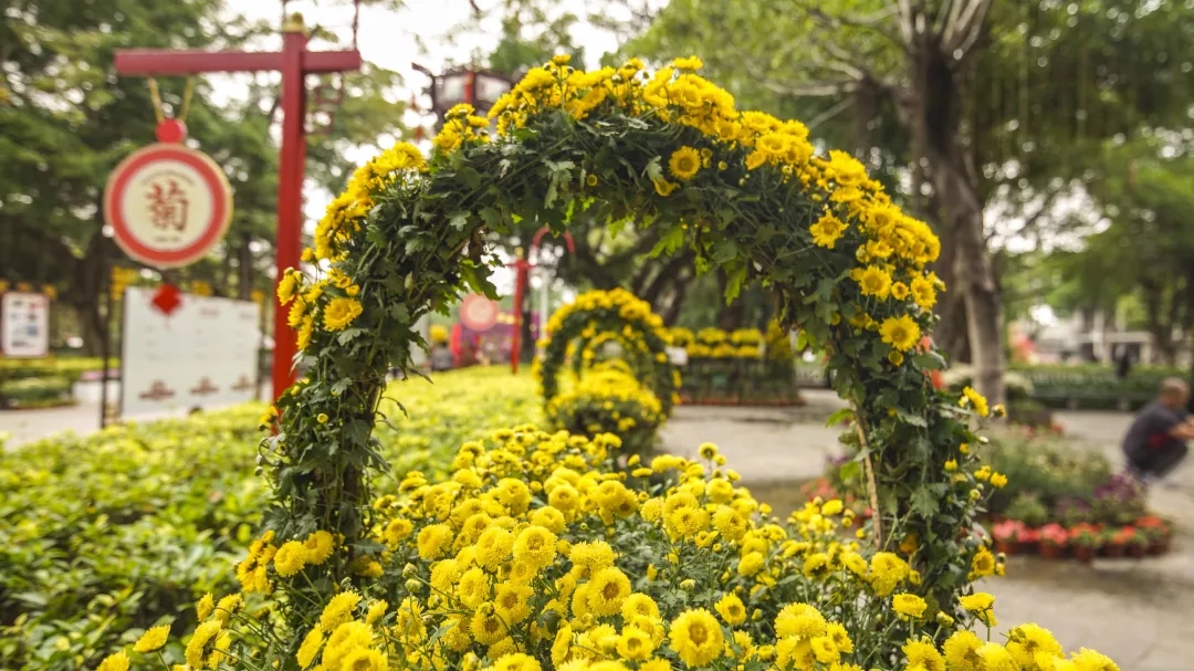 2018汕头市中山公园第32届群众菊花展图片